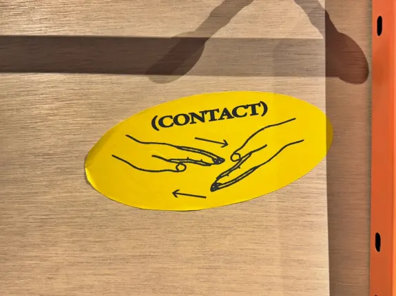 Wunderino Kaszinó Támogatás